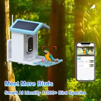 Night vision mode of solar-powered bird feeder camera providing clear footage at night.